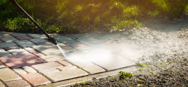 Animal Enclosure Cleaning in Keuka Park, NY